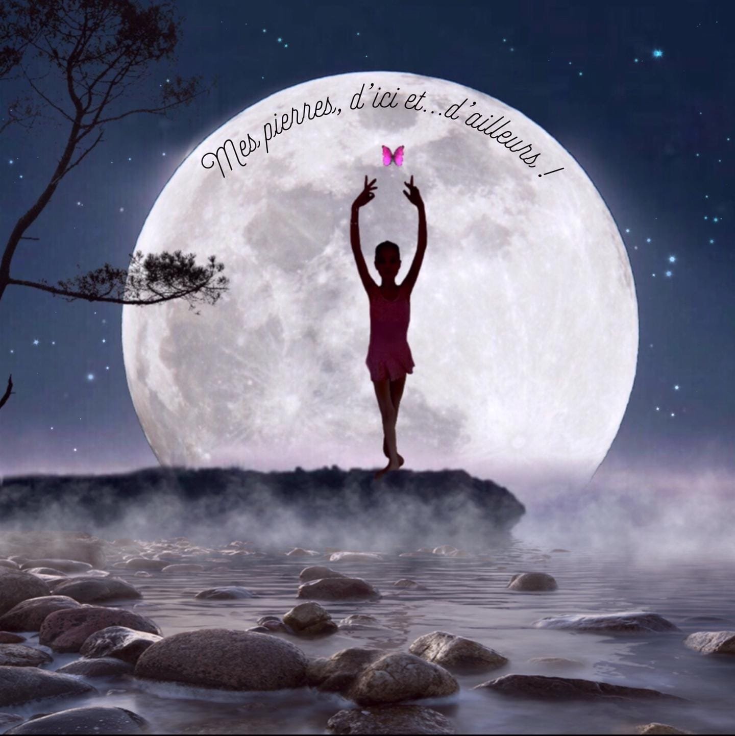 Logo lunaire de Mes Pierres d'Ici et d'Ailleurs — danseuse, pierres et clair de lune